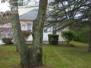 8117 North Vassar Road Mount Morris, MI 48458 - Photo 2 of 8 20125364-1.JPG