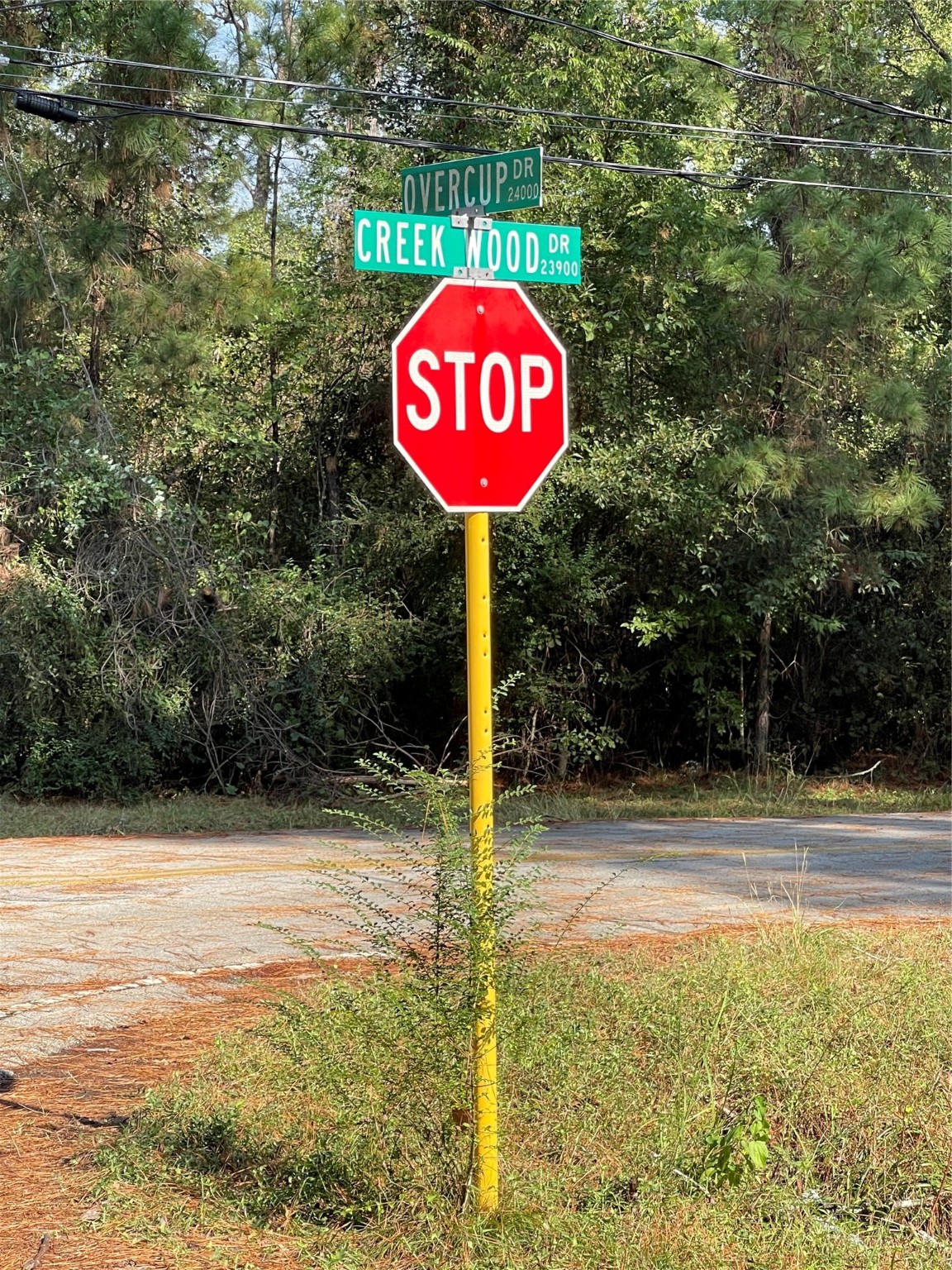 a view of a outdoor space