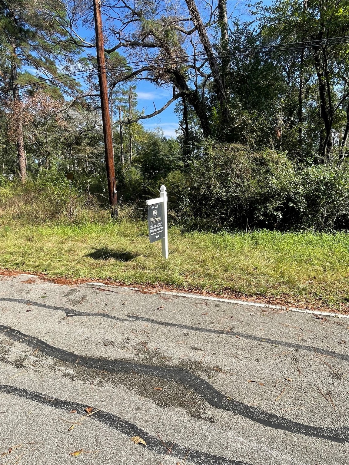 0 Overcup Drive Spring, TX 77389 - Photo 5 of 9 a view of a yard with plants
