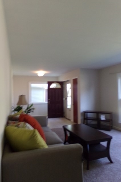 1025 Falkirk Road Alma, MI 48801 - Photo 6 of 19 1820082-5.JPG