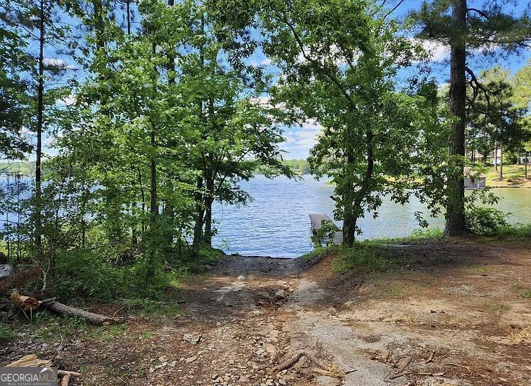 333 Venture Trail Sparta, GA 31087 - Photo 15 of 16 a view of a yard with plants and trees