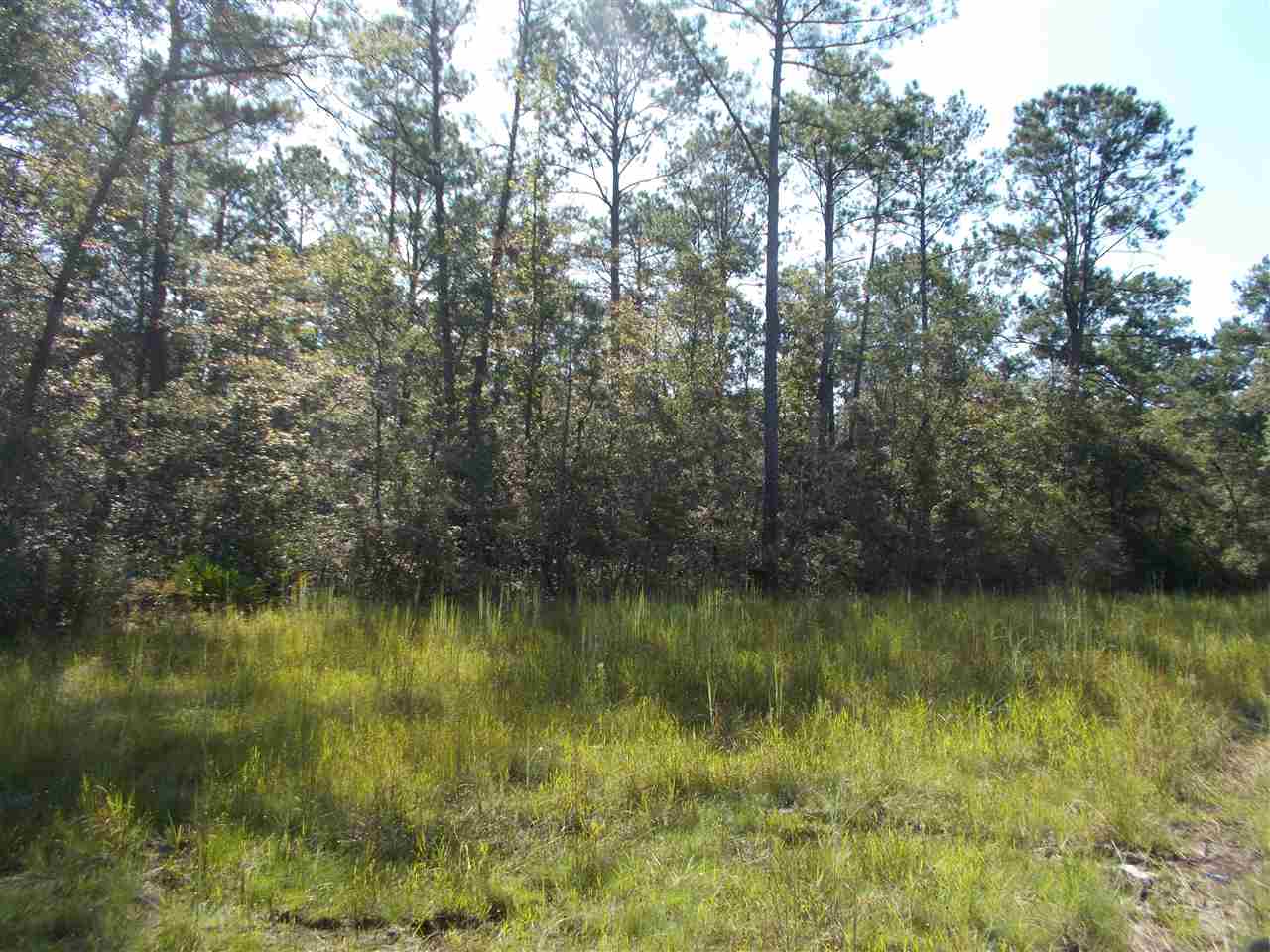 548 Reynolds Road Quincy, FL 32351 - Photo 1 of 5 Gallery Image 1