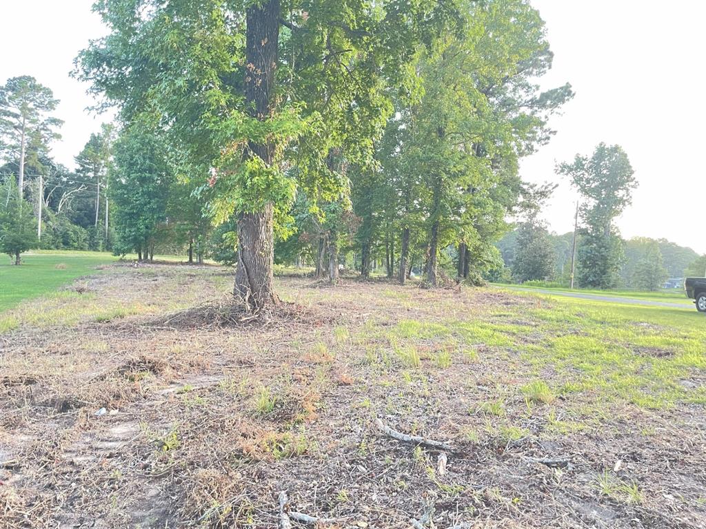 0 Enloe Road Saline, LA 71070 - Photo 3 of 3 a view of a yard with a tree
