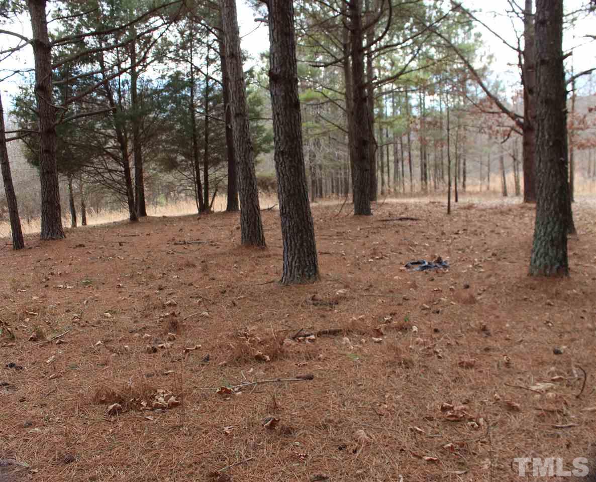 Pope Road Creedmoor, NC 27522 - Photo 4 of 16 a view of empty trees with yard