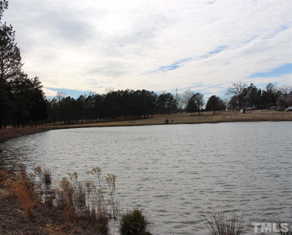 Pope Road Creedmoor, NC 27522 - Photo 7 of 16 a view of lake