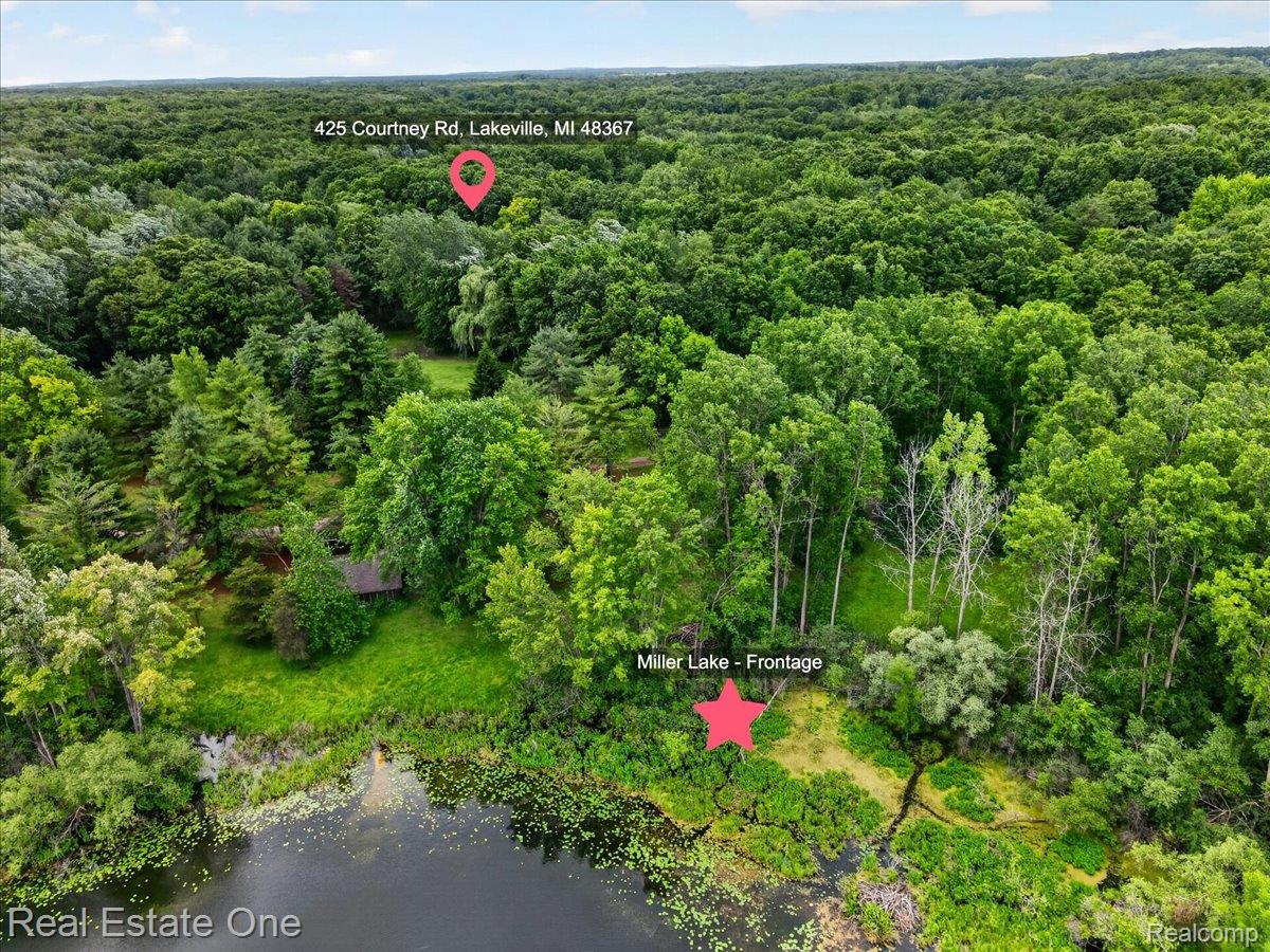 425 Courtney Road Leonard, MI 48367 - Photo 77 of 89 Expansive wooded property featuring a lakefront setting and a single structure nestled among mature trees