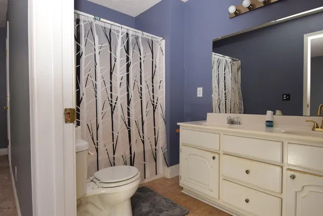 a bathroom with a sink a toilet and shower curtain