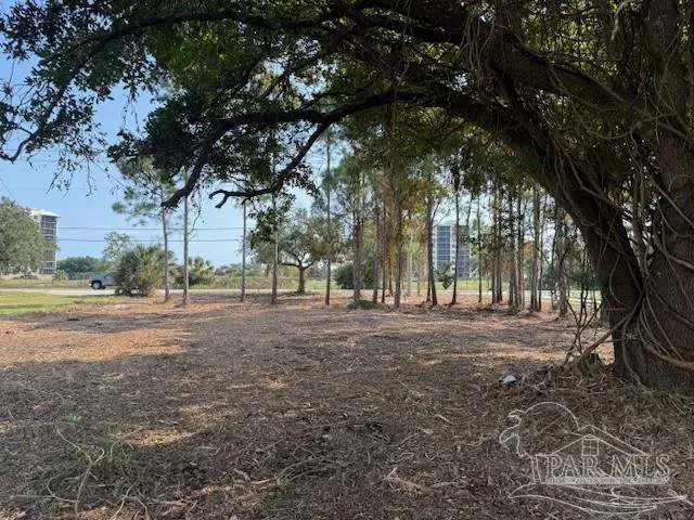 a view of outdoor space with trees
