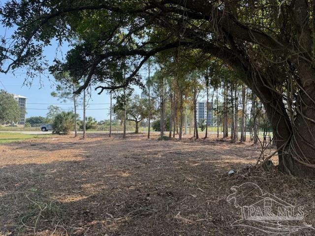14124 River Road Perdido Key, FL 32507 - Photo 13 of 17 a view of outdoor space with trees
