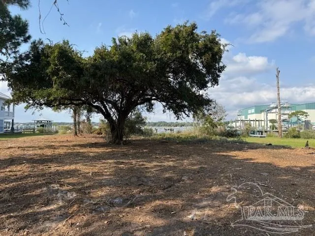 a view of a yard with a fountain