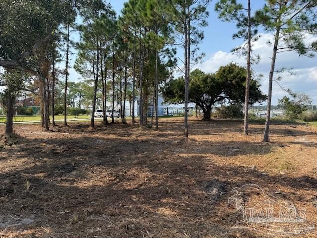 14124 River Road Perdido Key, FL 32507 - Photo 16 of 17 a view of outdoor space with trees