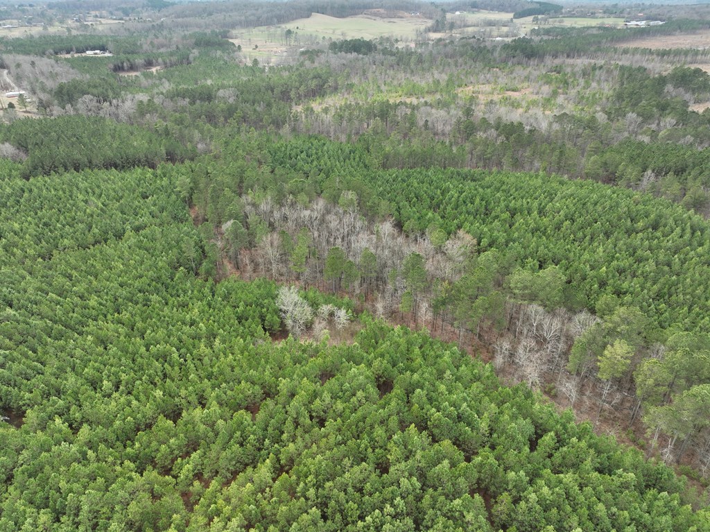 0 Sexton Road Resaca, GA 30735 - Photo 6 of 16 Gallery Image 6