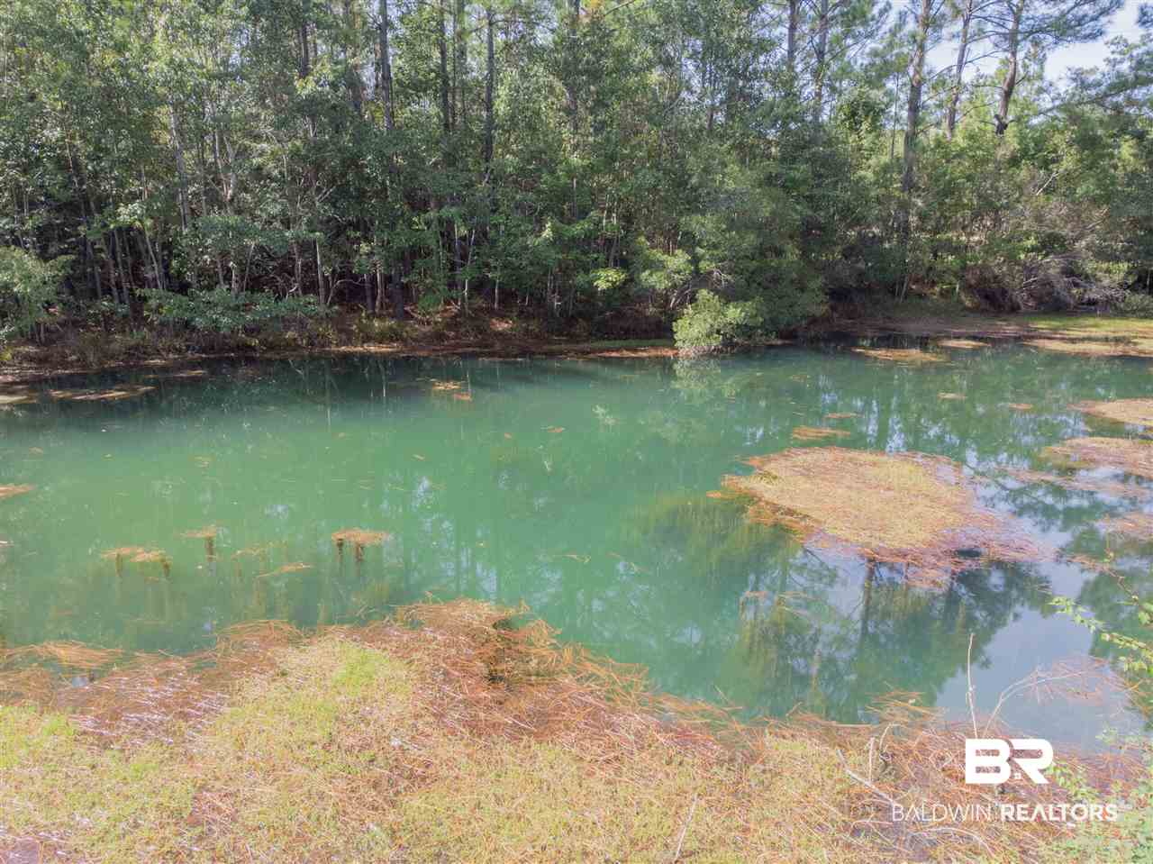 18424 County Road 16 Foley, AL 36535 - Photo 18 of 21