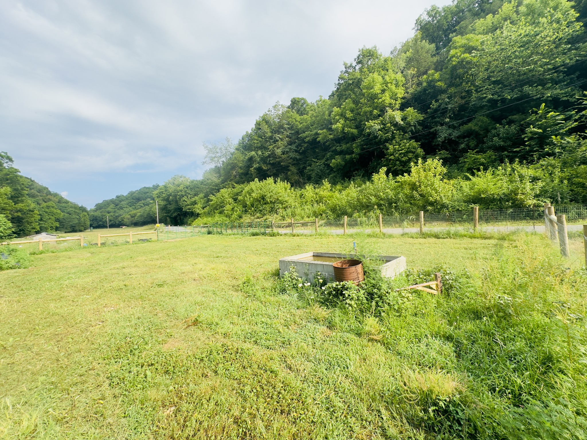 1611 Knob Creek Road Celina, TN 38551 - Photo 24 of 48