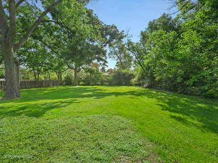 a view of green field with trees in the background