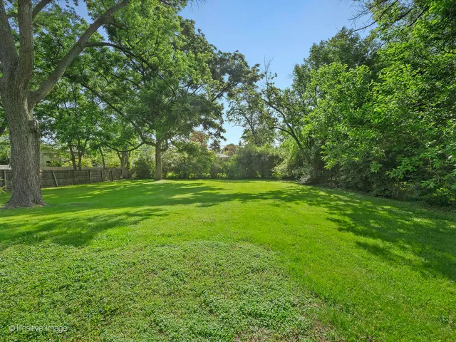 a view of green field with trees in the background