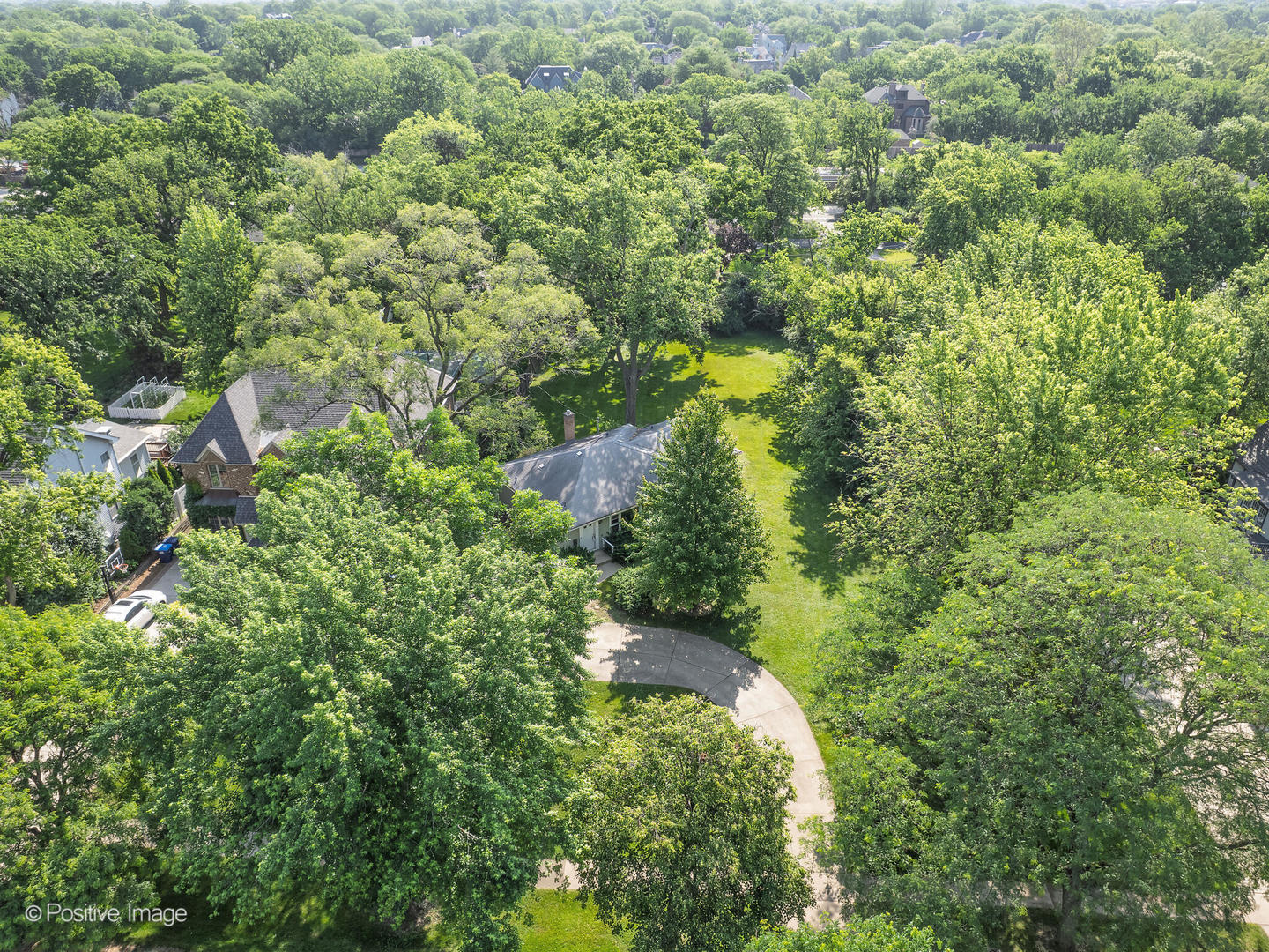 241 Coe Road Clarendon Hills, IL 60514 - Photo 3 of 12 an aerial view of residential house with outdoor space and trees all around