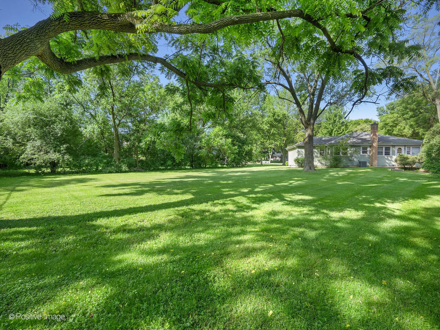241 Coe Road Clarendon Hills, IL 60514 - Photo 9 of 12 a view of a grassy field with trees