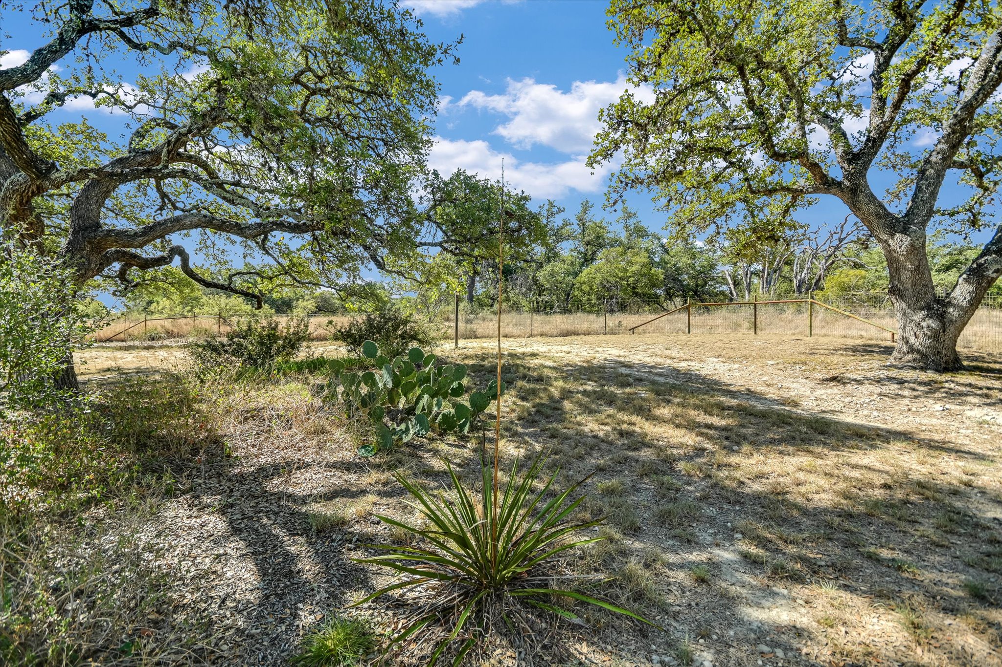 878 Ranch Road 2766 Johnson City, TX 78636 - Photo 25 of 40 a view of dirt field with trees in the background