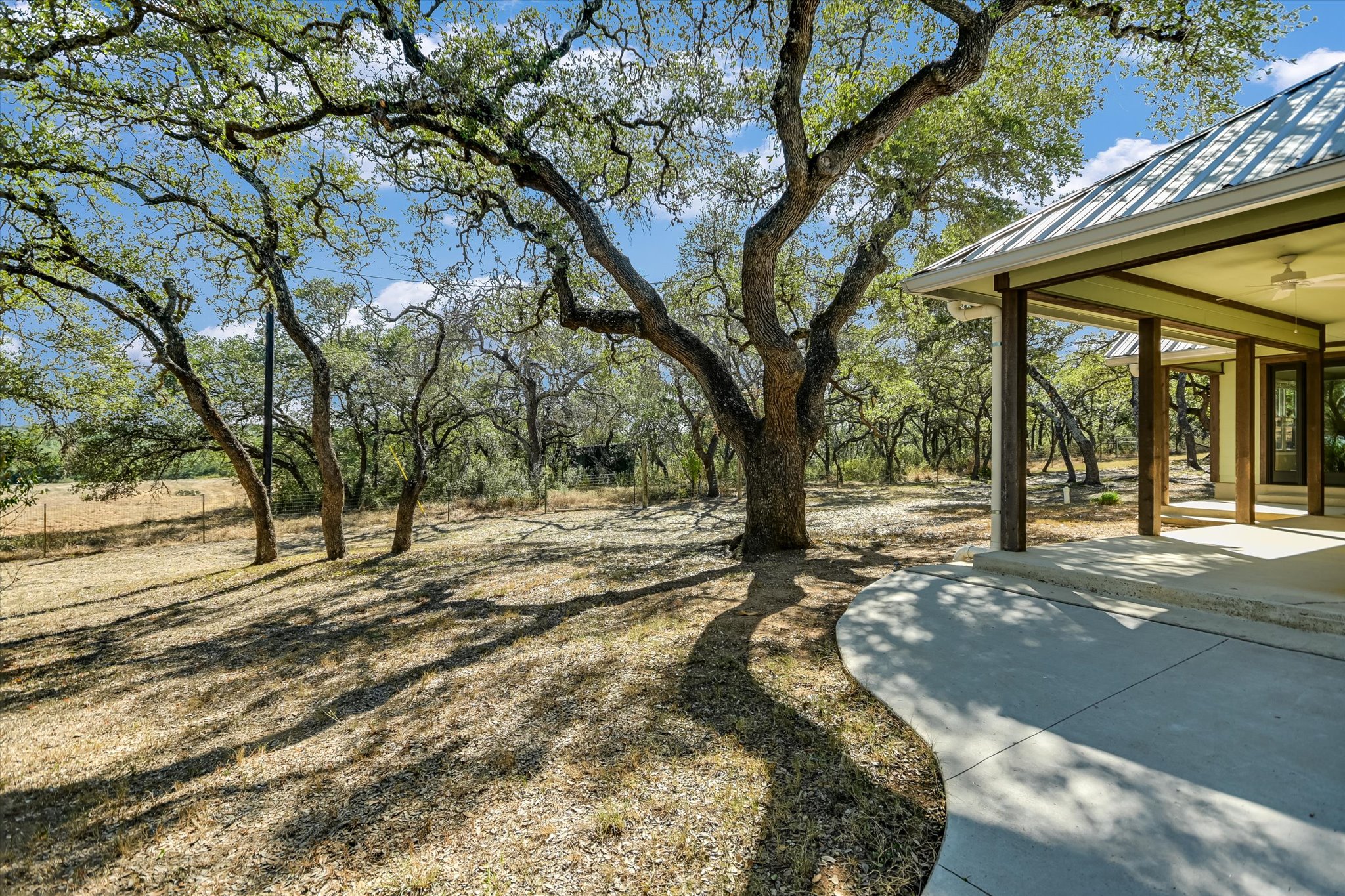 878 Ranch Road 2766 Johnson City, TX 78636 - Photo 4 of 40 a view of a yard with plants and trees