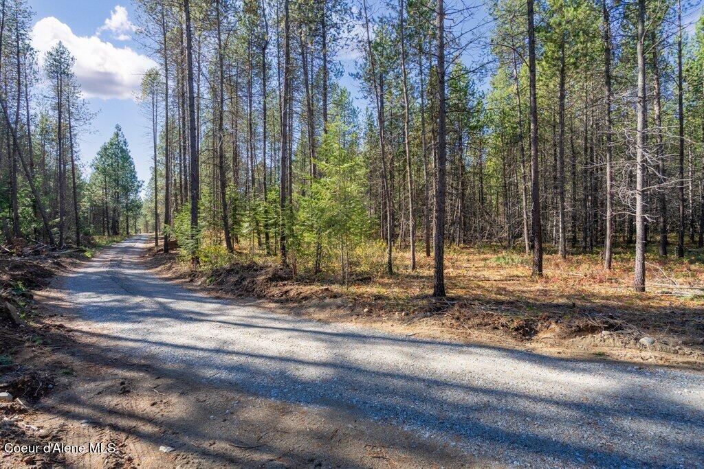 Lot 3 Amaze Way Athol, ID 83801 - Photo 3 of 18 Amaze Way