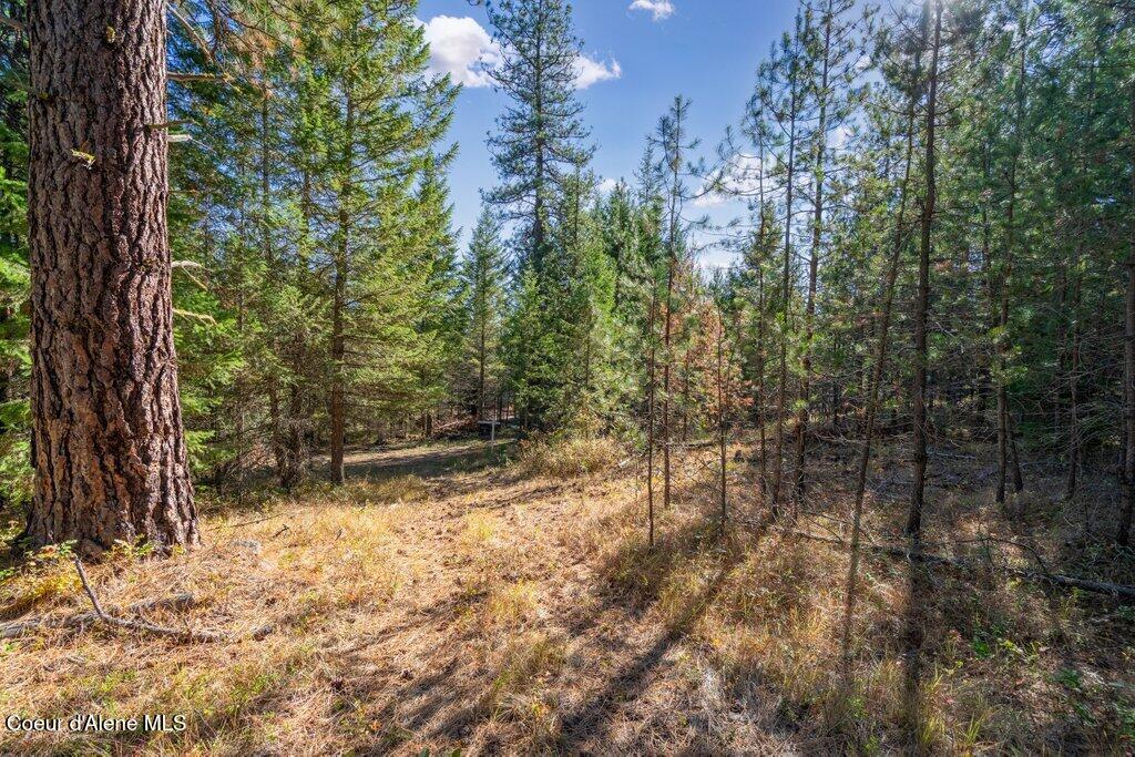 Lot 3 Amaze Way Athol, ID 83801 - Photo 5 of 18 Lot 3