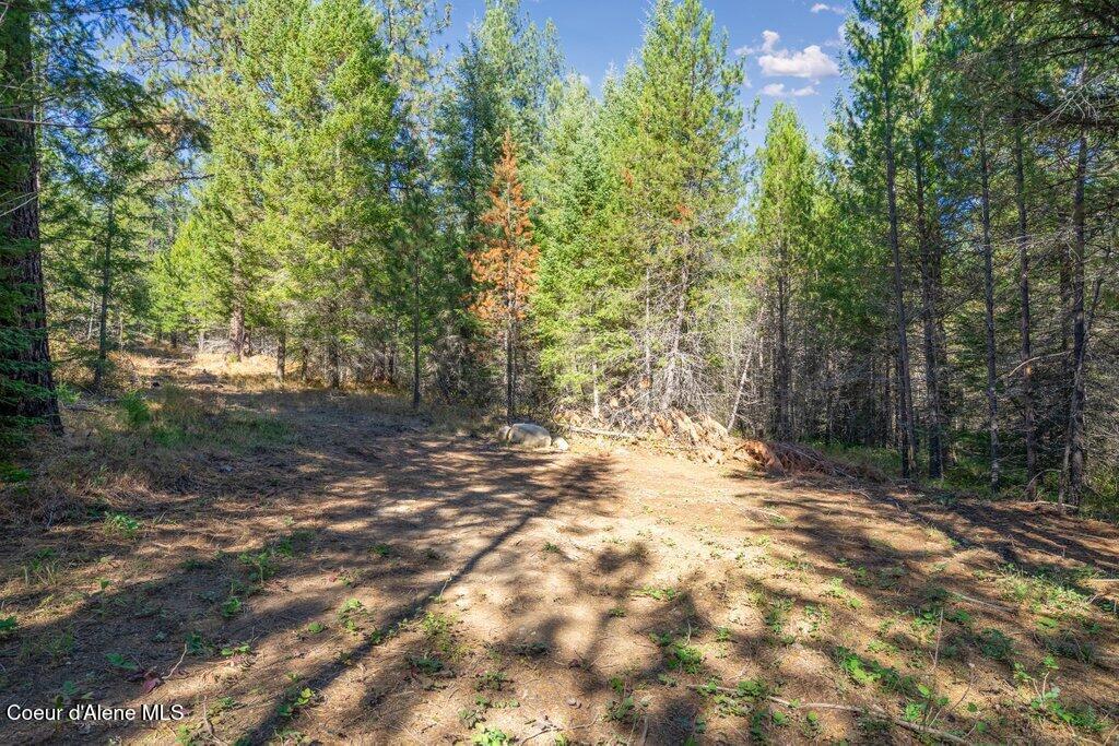Lot 3 Amaze Way Athol, ID 83801 - Photo 7 of 18 Lot 3 (3)