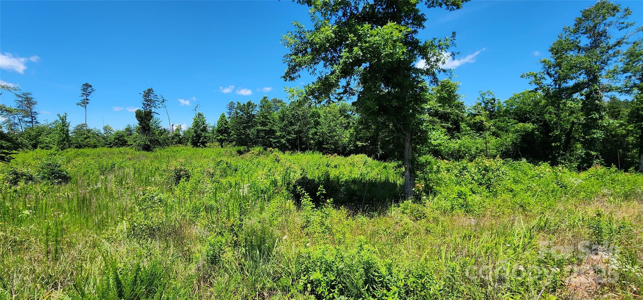 Lot 1 Poors Ford Road, Unit 1 Tryon, NC 28782 - Photo 2 of 23 a view of a garden