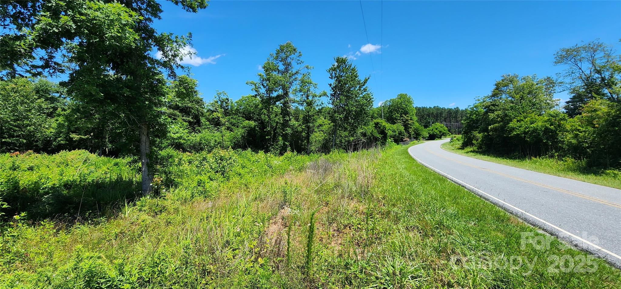 Lot 1 Poors Ford Road, Unit 1 Tryon, NC 28782 - Photo 3 of 23 a view of a garden with a pathway