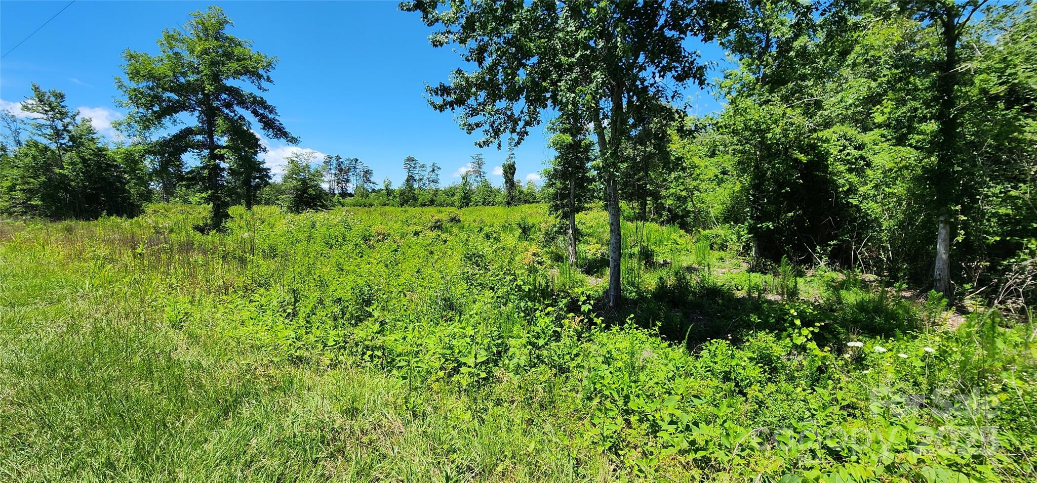 Lot 1 Poors Ford Road, Unit 1 Tryon, NC 28782 - Photo 6 of 23 a view of a lush green forest