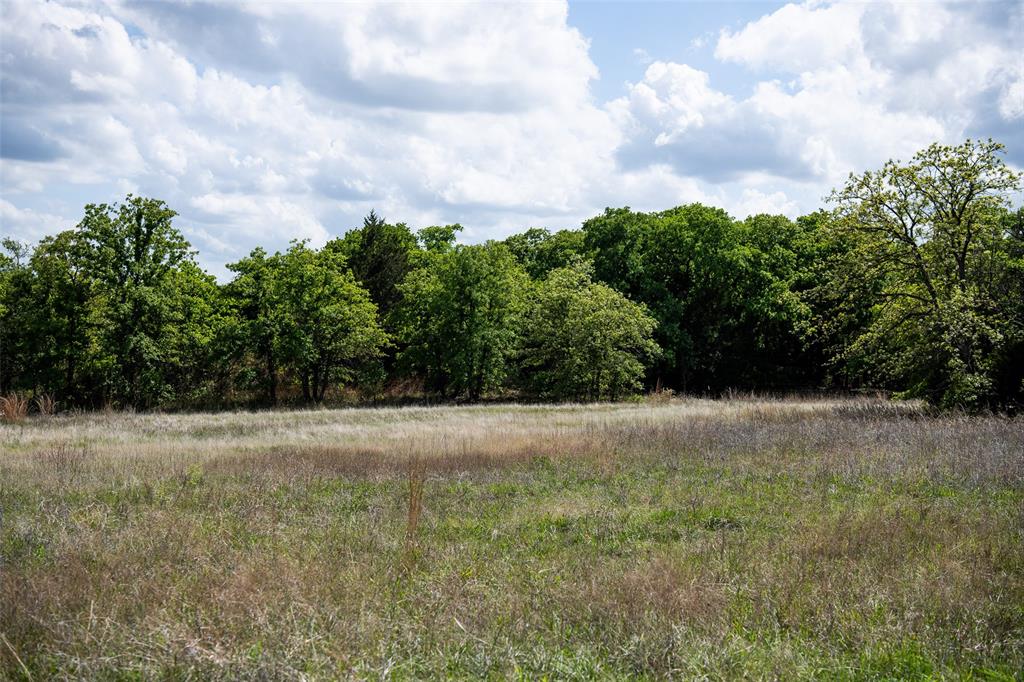 Lot 8 Red Oak Hills Road Nocona, TX 76255 - Photo 11 of 40
