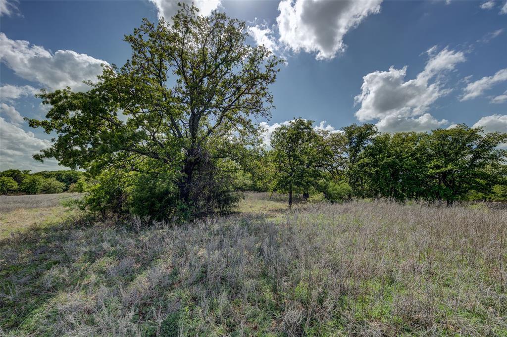 Lot 8 Red Oak Hills Road Nocona, TX 76255 - Photo 12 of 40