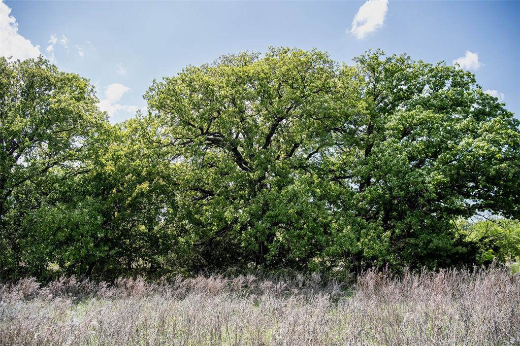 Lot 8 Red Oak Hills Road Nocona, TX 76255 - Photo 13 of 40