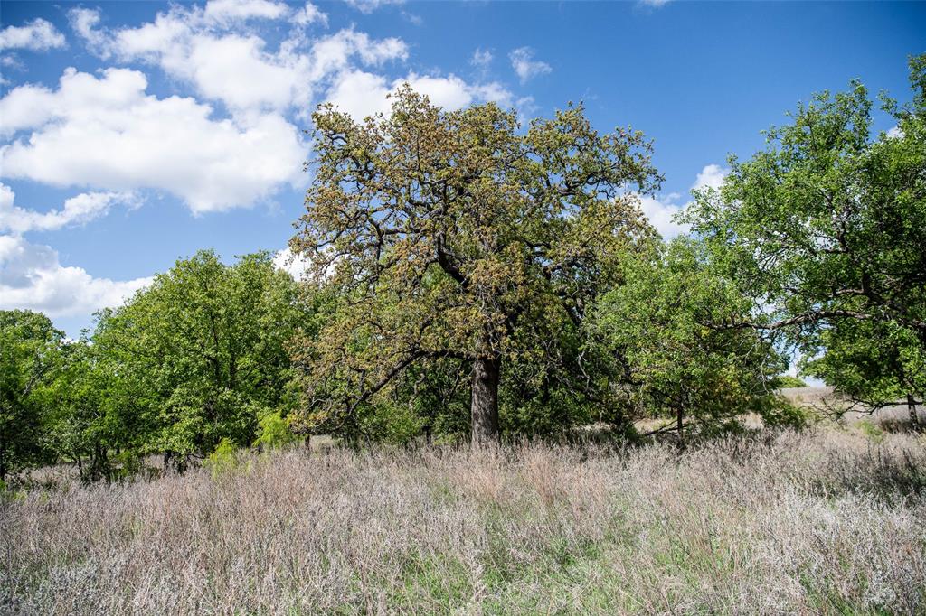 Lot 8 Red Oak Hills Road Nocona, TX 76255 - Photo 14 of 40
