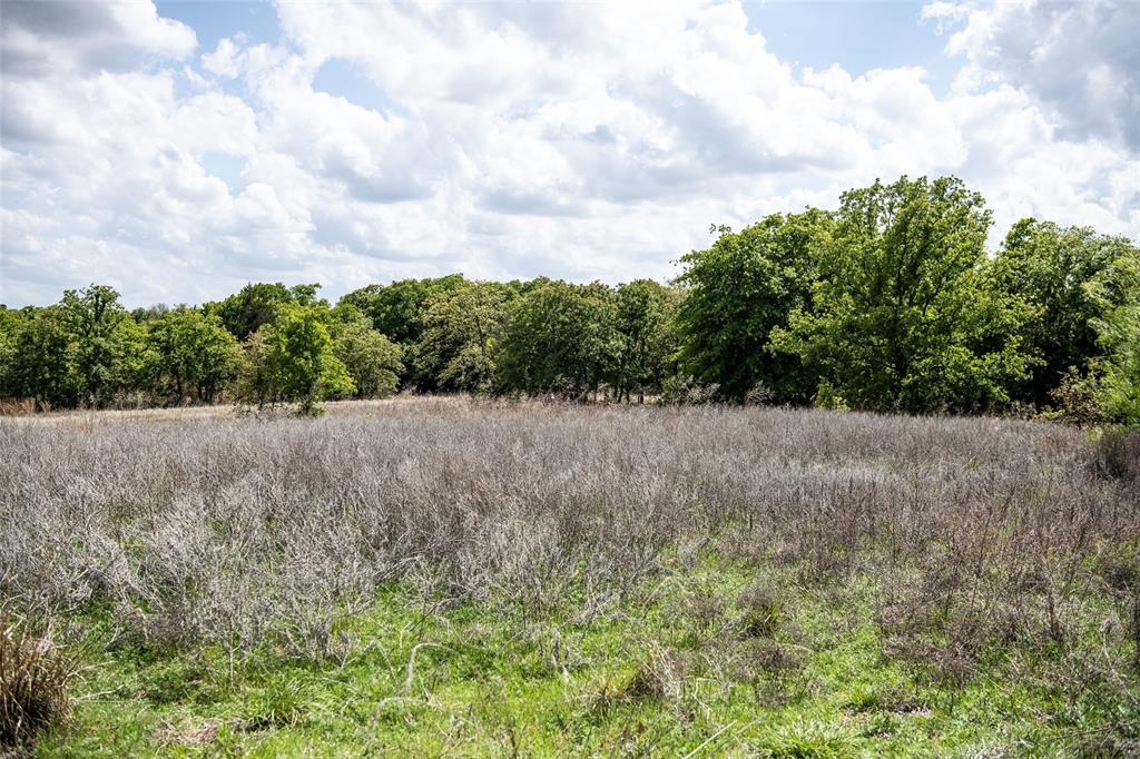 Lot 8 Red Oak Hills Road Nocona, TX 76255 - Photo 15 of 40