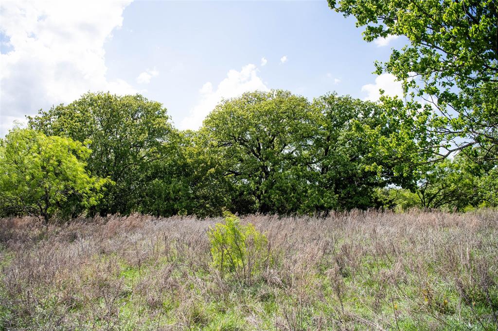 Lot 8 Red Oak Hills Road Nocona, TX 76255 - Photo 16 of 40