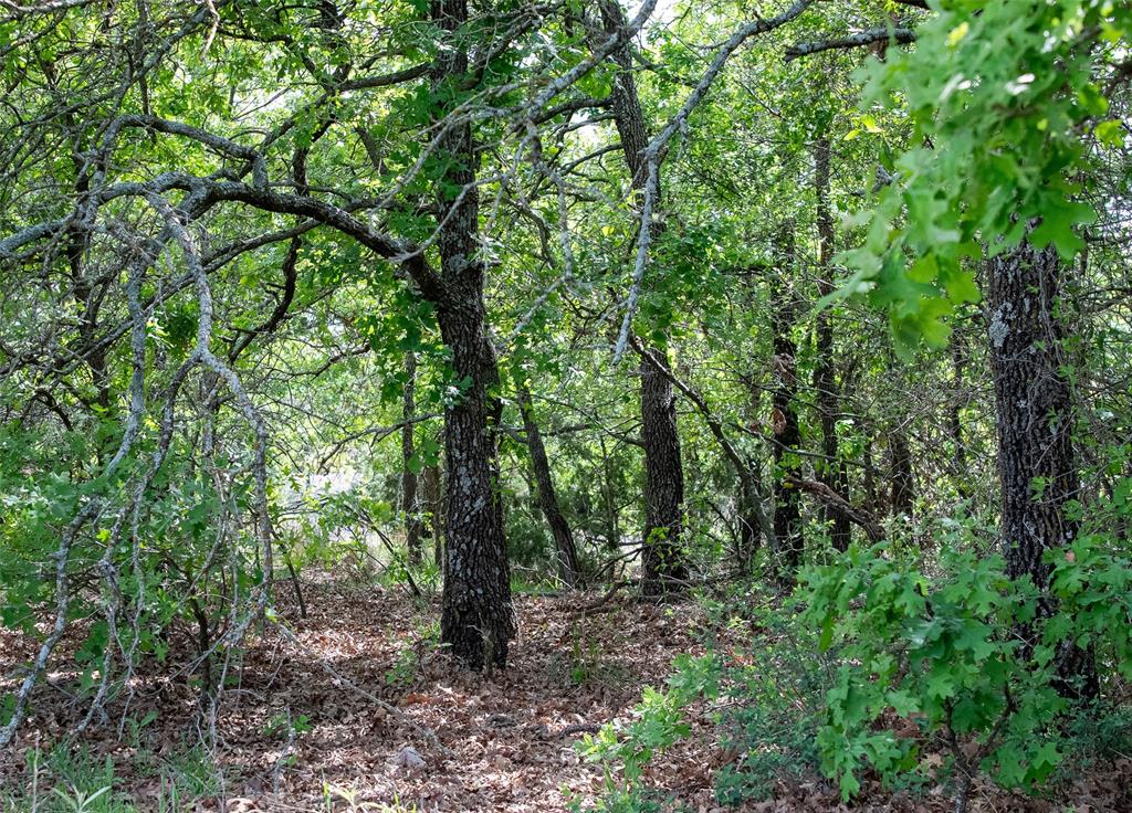 Lot 8 Red Oak Hills Road Nocona, TX 76255 - Photo 18 of 40