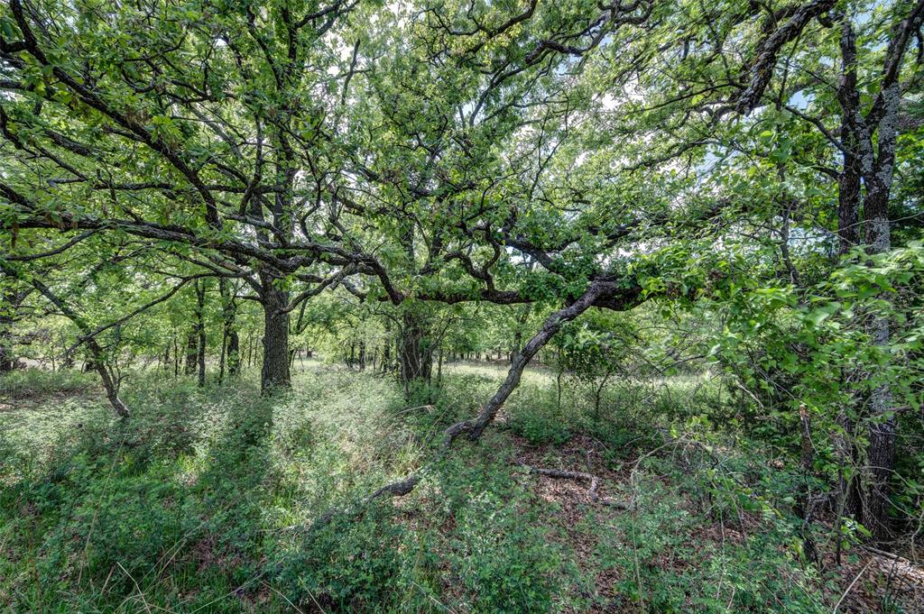Lot 8 Red Oak Hills Road Nocona, TX 76255 - Photo 19 of 40