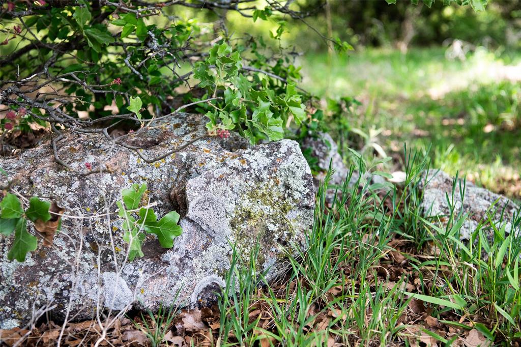 Lot 8 Red Oak Hills Road Nocona, TX 76255 - Photo 20 of 40