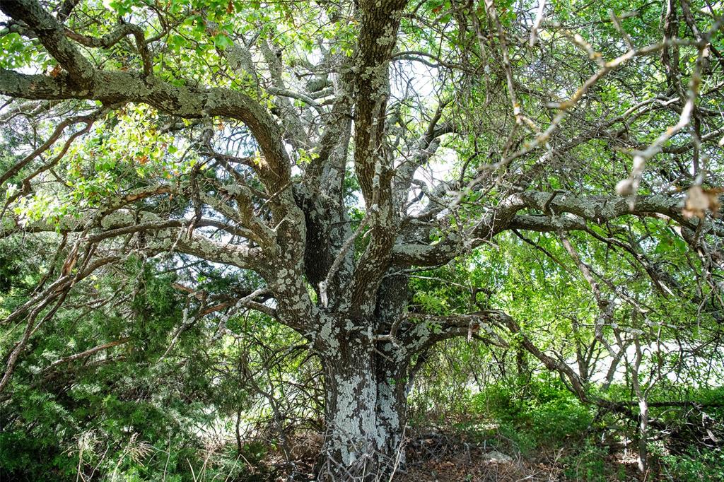 Lot 8 Red Oak Hills Road Nocona, TX 76255 - Photo 24 of 40
