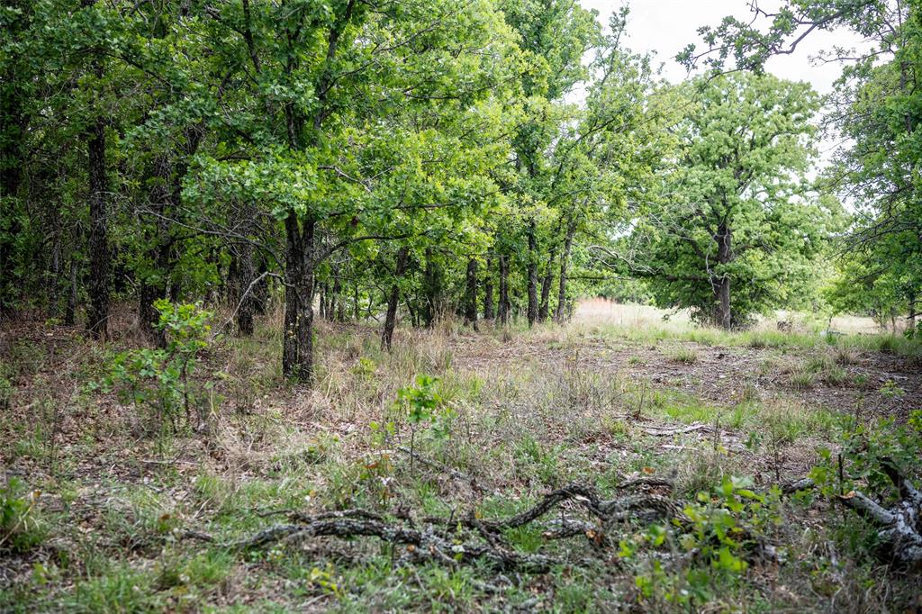 Lot 8 Red Oak Hills Road Nocona, TX 76255 - Photo 27 of 40