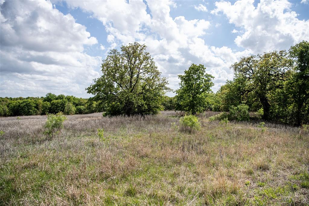 Lot 8 Red Oak Hills Road Nocona, TX 76255 - Photo 28 of 40