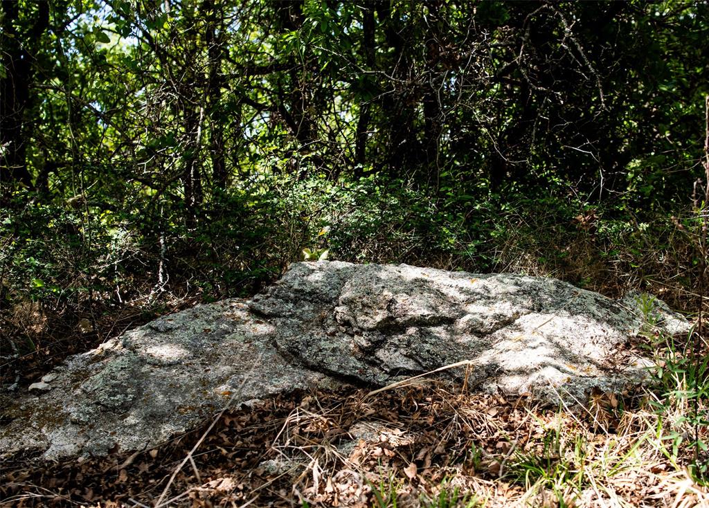 Lot 8 Red Oak Hills Road Nocona, TX 76255 - Photo 30 of 40