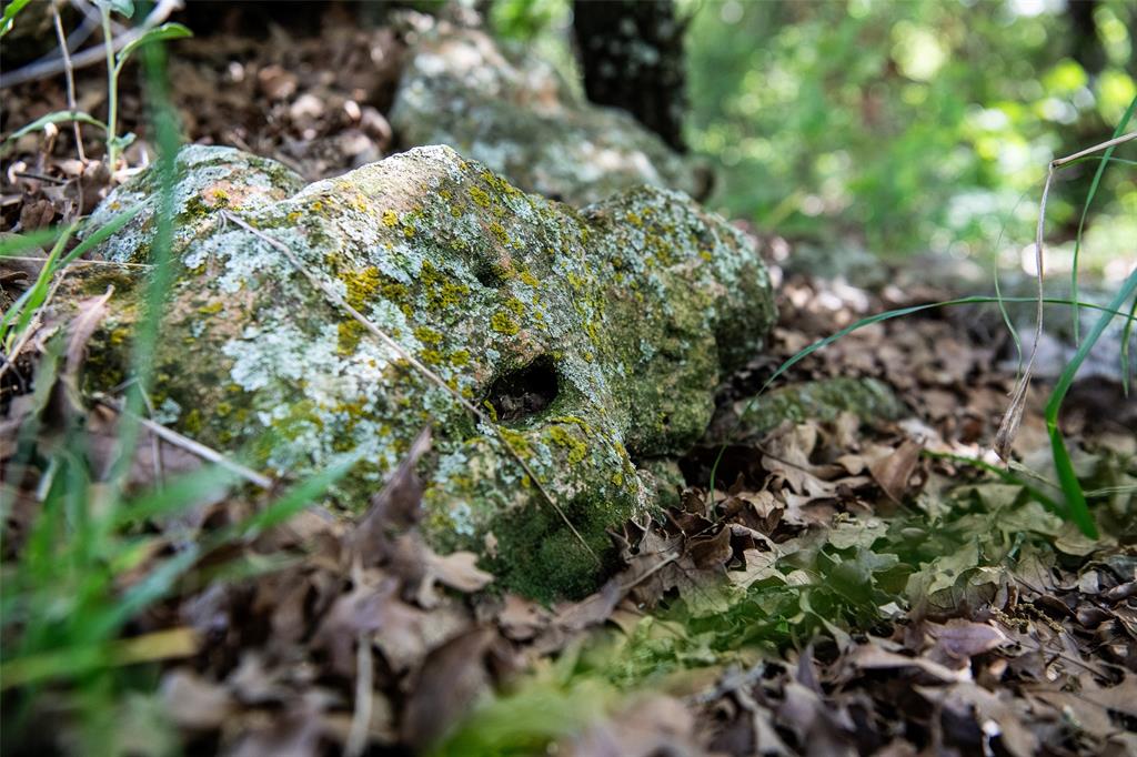 Lot 8 Red Oak Hills Road Nocona, TX 76255 - Photo 32 of 40