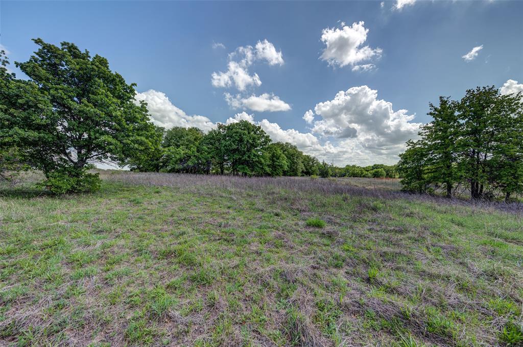 Lot 8 Red Oak Hills Road Nocona, TX 76255 - Photo 4 of 40