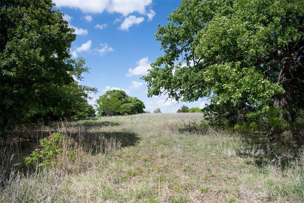 Lot 8 Red Oak Hills Road Nocona, TX 76255 - Photo 6 of 40