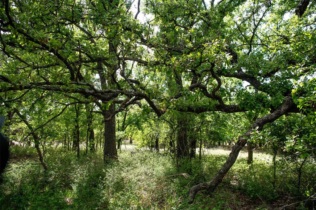Lot 8 Red Oak Hills Road Nocona, TX 76255 - Photo 8 of 40