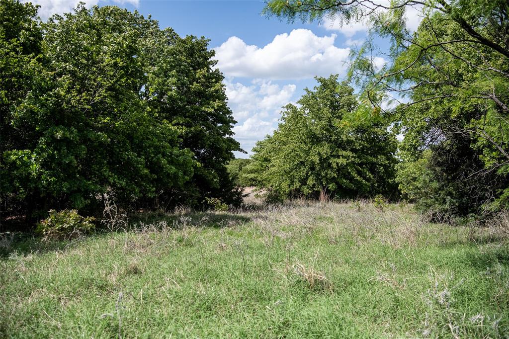 Lot 8 Red Oak Hills Road Nocona, TX 76255 - Photo 9 of 40