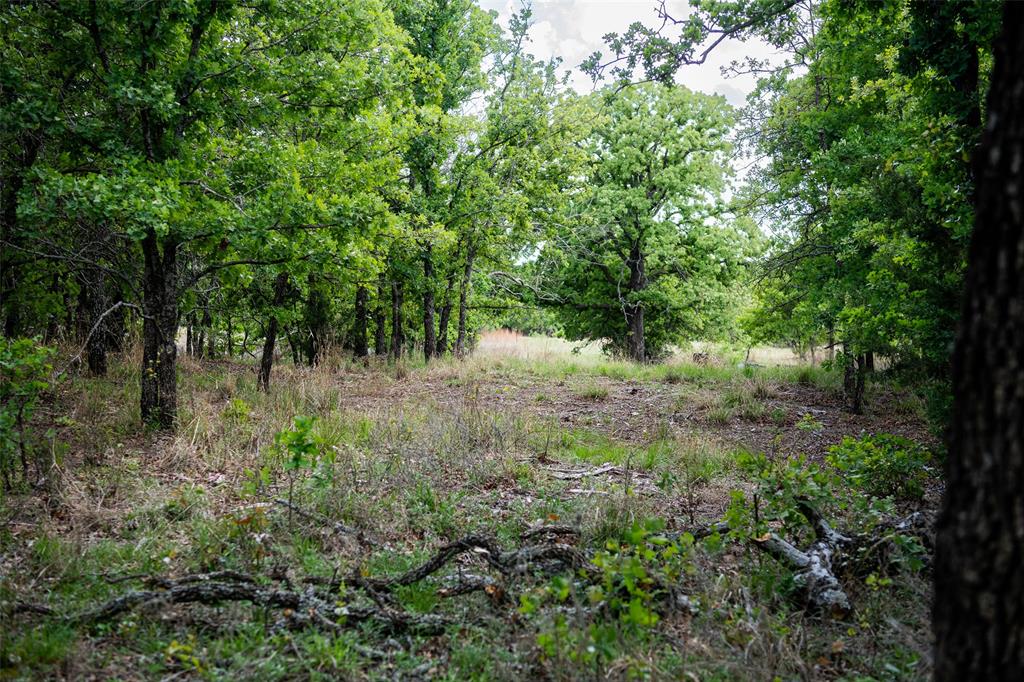 Lot 8 Red Oak Hills Road Nocona, TX 76255 - Photo 10 of 40