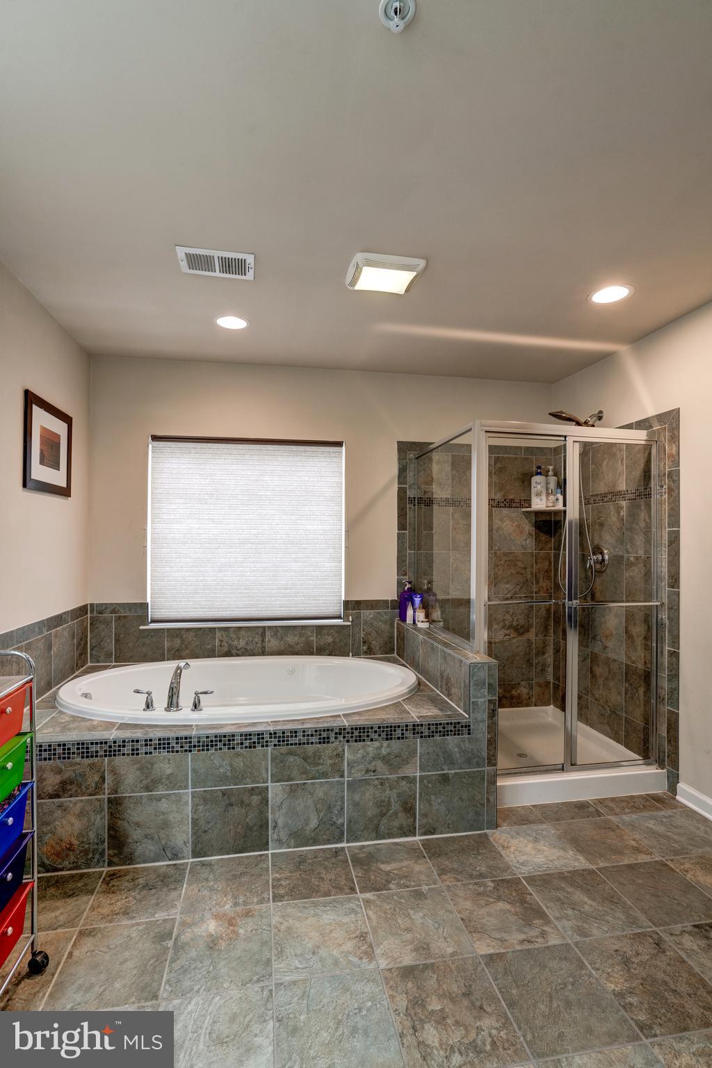 11516 Amherst Avenue Silver Spring, MD 20902 - Photo 24 of 38 Jet-powered Jacuzzi bath and large shower